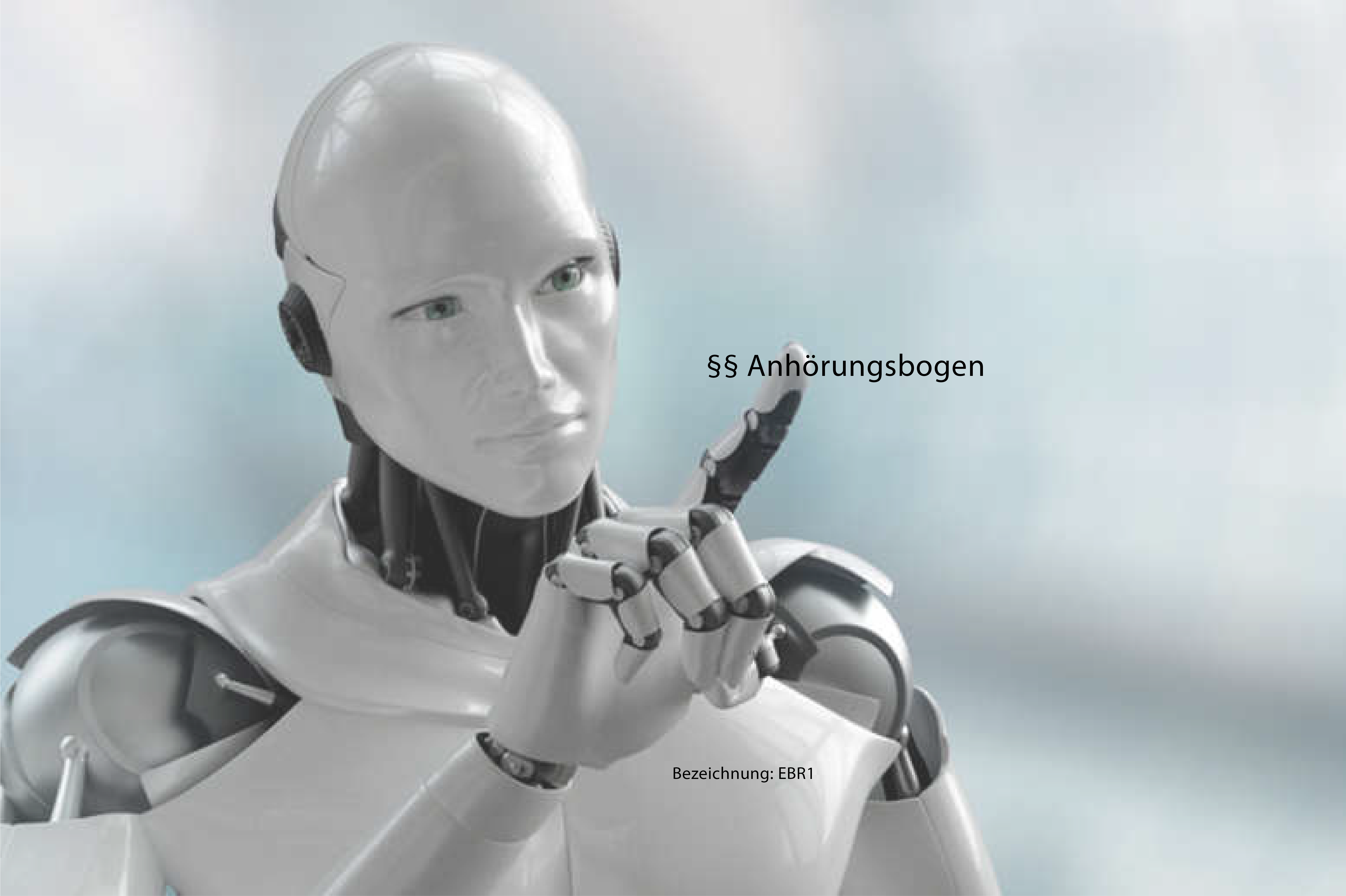 EU BUSSGELD ROBOTER